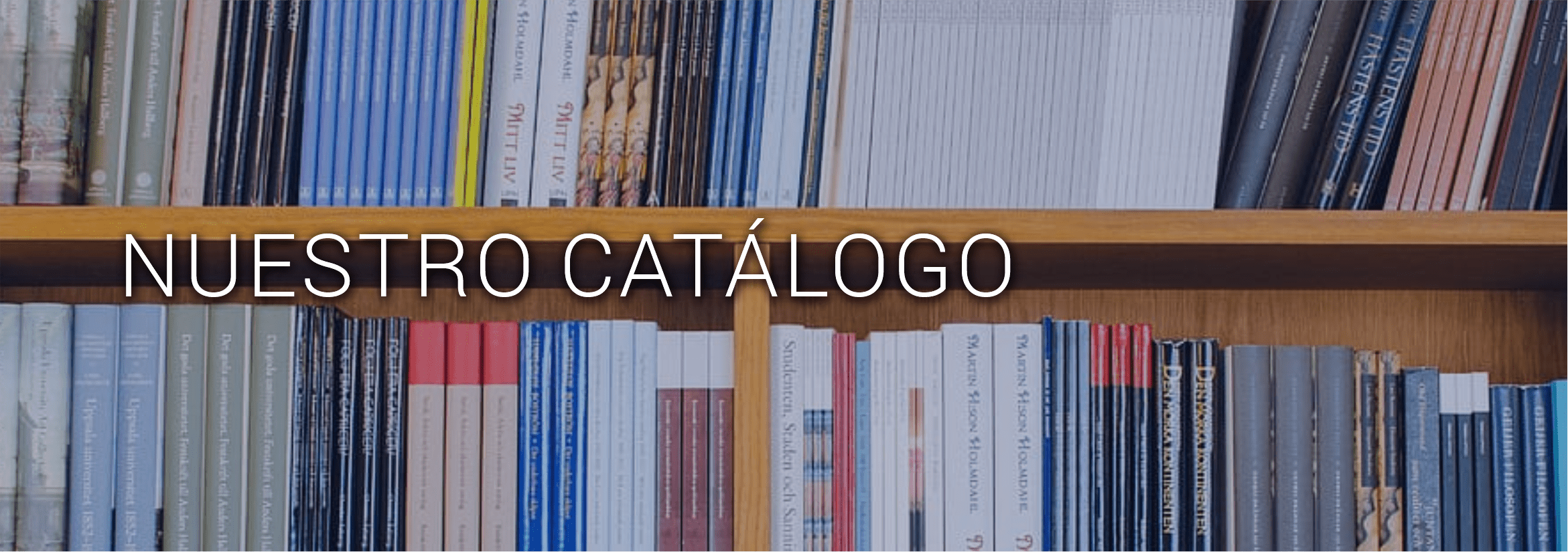 Servicios renewengsac