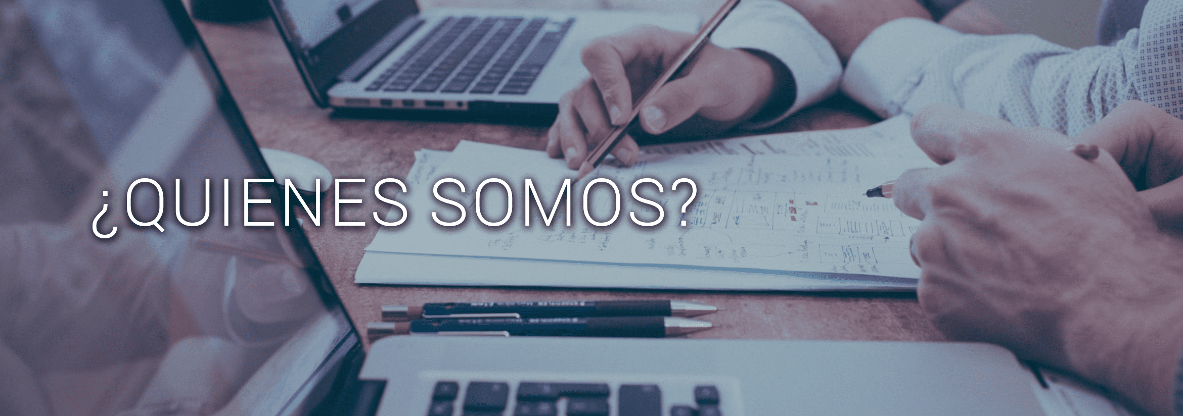 Servicios renewengsac